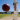 cricket ball being hit by bat